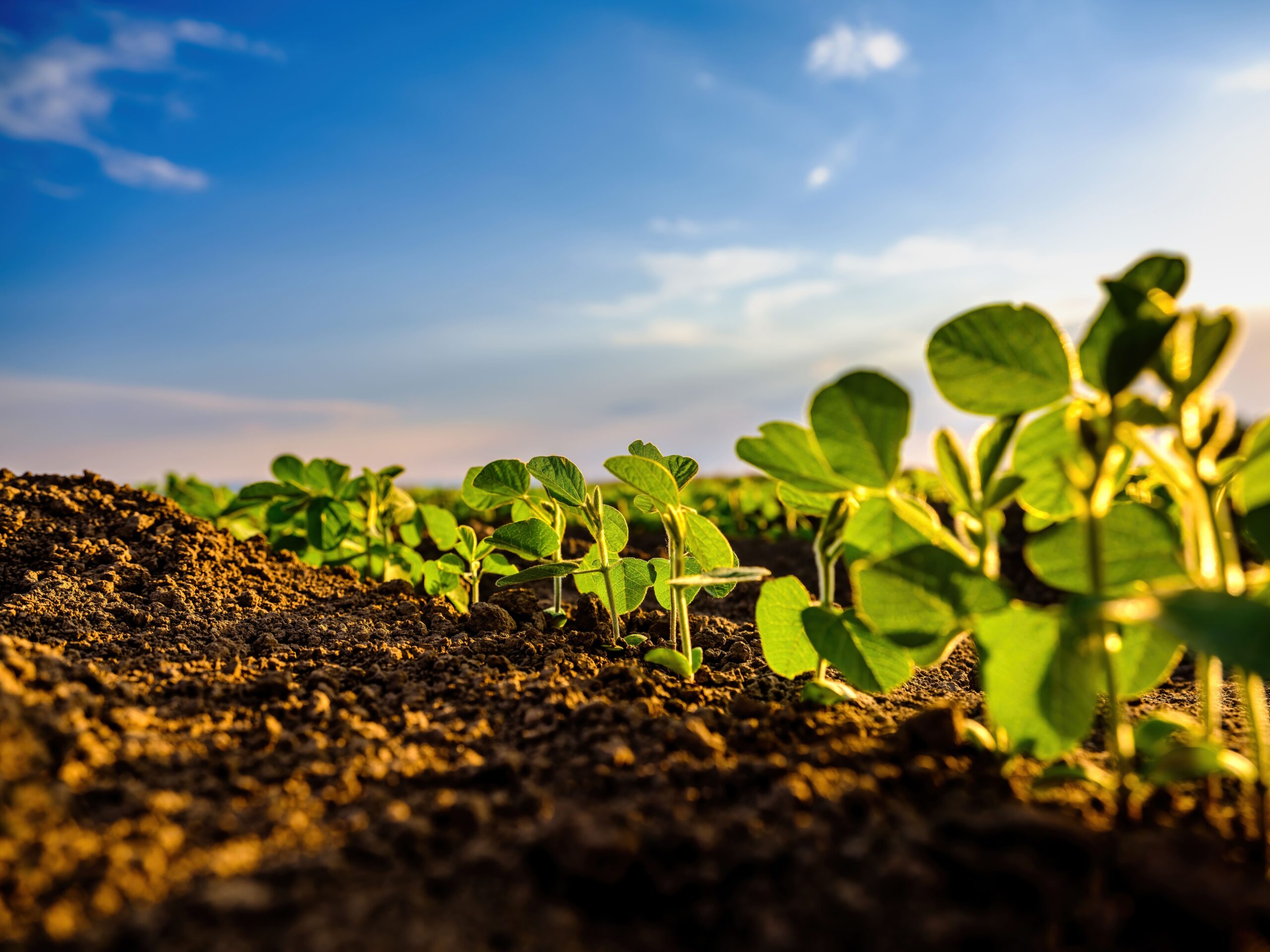 New alliance aims to redefine Himalayan horticulture