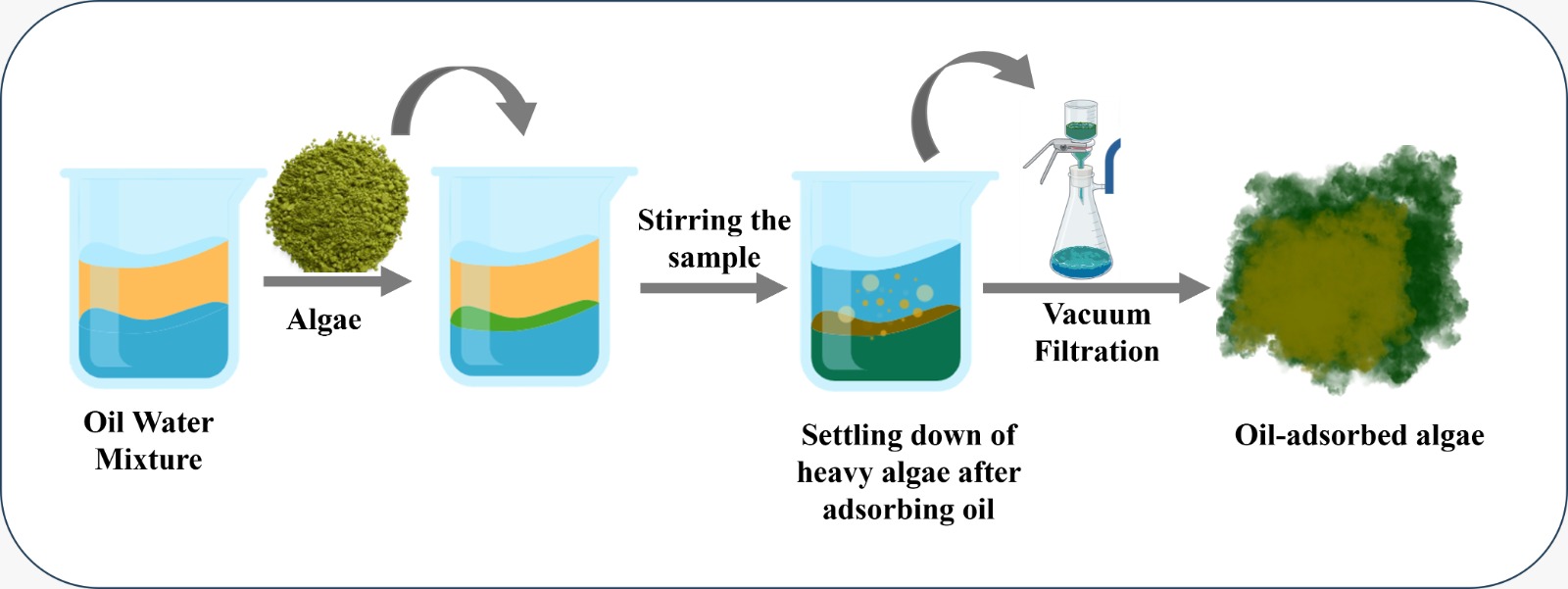 DIAT's Algae Technology Could Safeguard Aquaculture from Oil Contamination