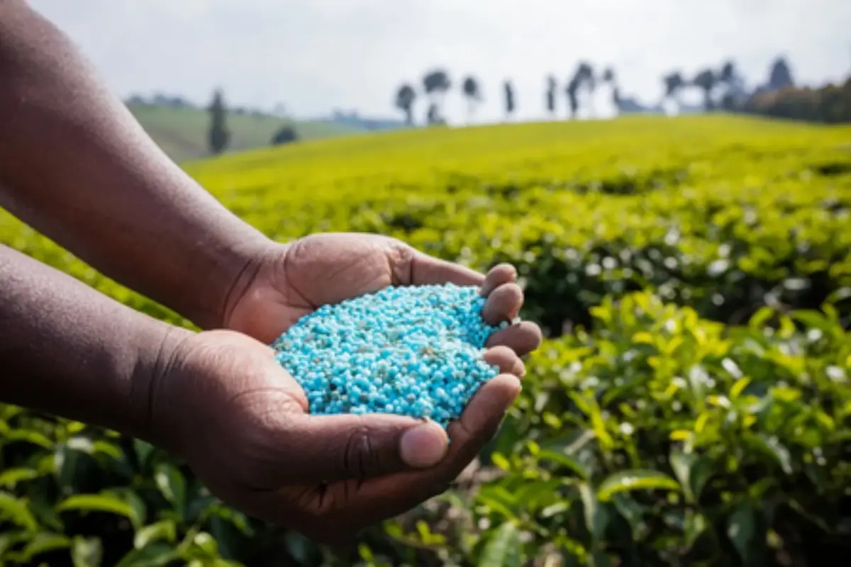 NIPU-2026 aims to boost domestic urea capacity, cut imports and strengthen India's fertilizer security