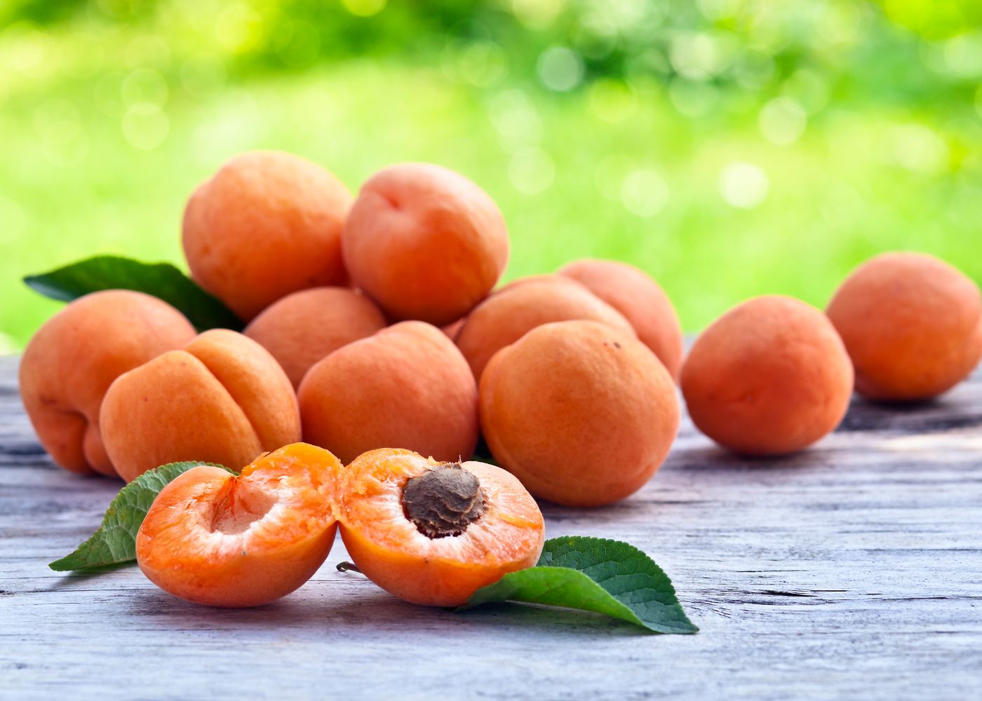 Ladakh opens global market for Raktsey apricots