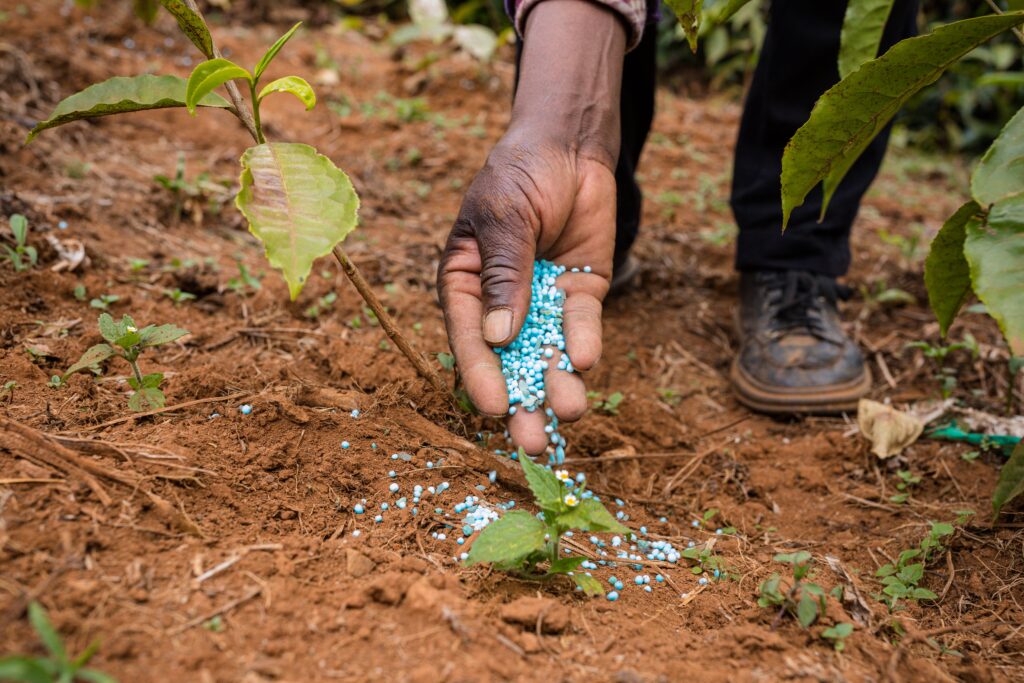 India builds fertilizer buffer ahead of peak Kharif Season as stocks stay well above demand