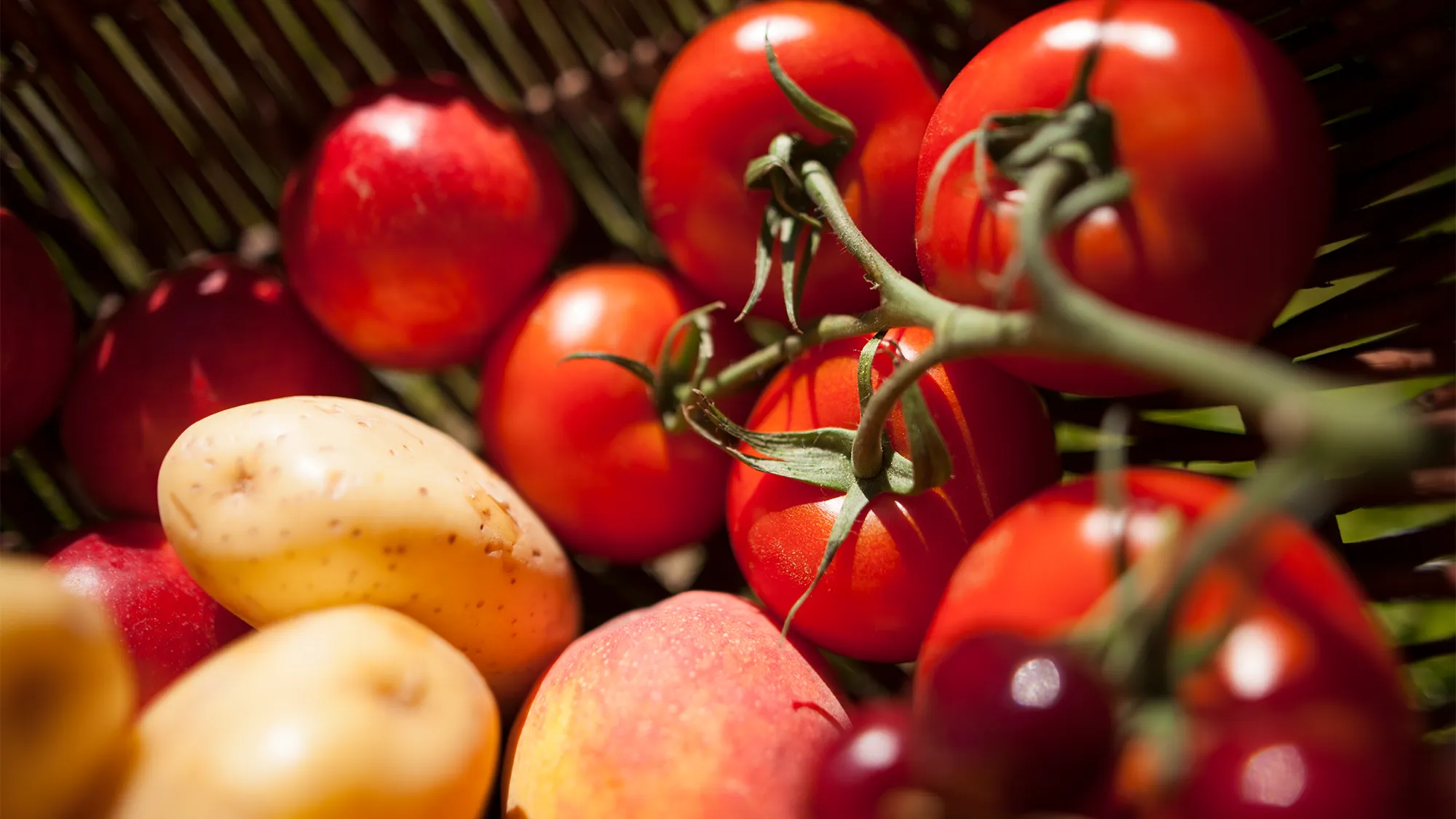Onions heat up, tomatoes cool down, potatoes hold steady in India's wholesale markets