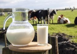dairy-industry-a-catalyst-for-boosting-indias-agri-economy