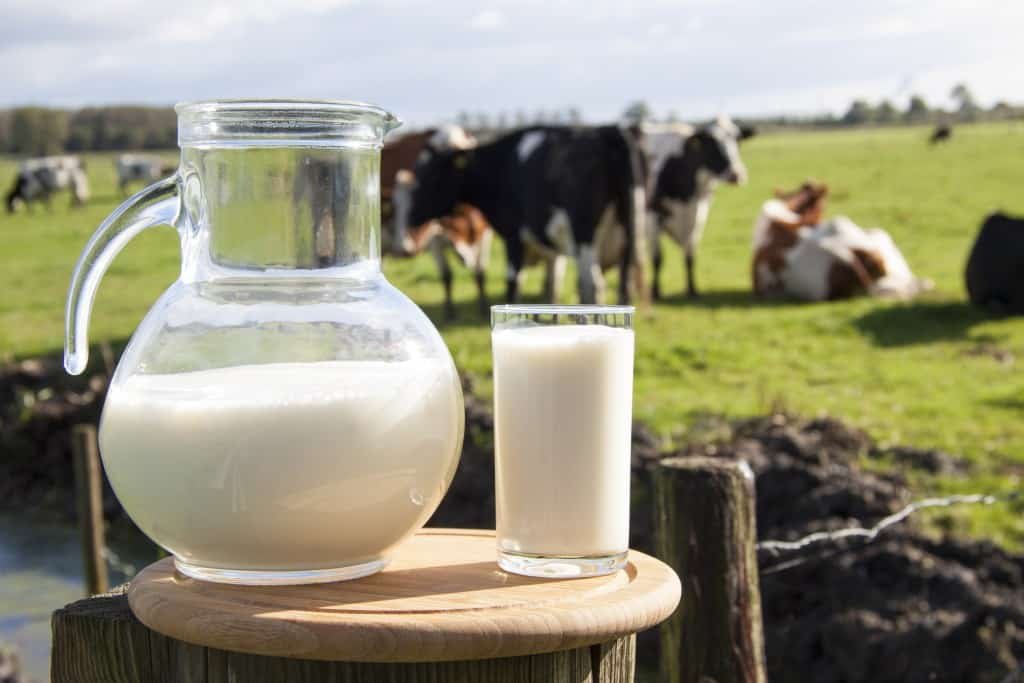 dairy-industry-a-catalyst-for-boosting-indias-agri-economy