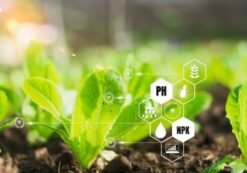 danone-brightseed-partnership-to-discover-health-benefits-in-plants-using-ai