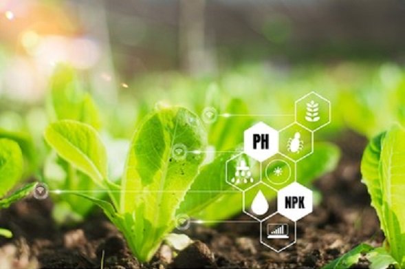 danone-brightseed-partnership-to-discover-health-benefits-in-plants-using-ai