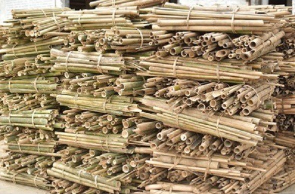 bamboo-industry-in-india-will-be-worth-rs-25-30000cr-msme-minister