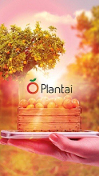 plantai-launches-app-for-automatic-fruit-counting