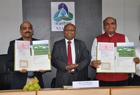 icar-niasm-inks-mou-with-vnmkv-parbhani-for-research-in-abiotic-stress-tolerance-in-crop-plants