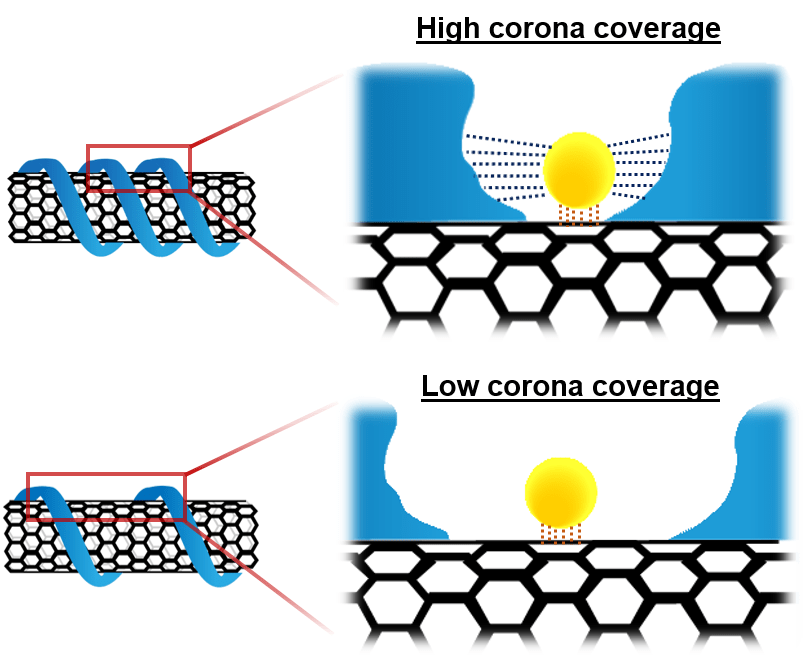 smart-discovers-breakthrough-way-to-look-at-the-surface-of-nanoparticles