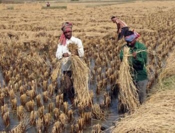 record-number-of-paddy-farmers-benefitted-through-msp