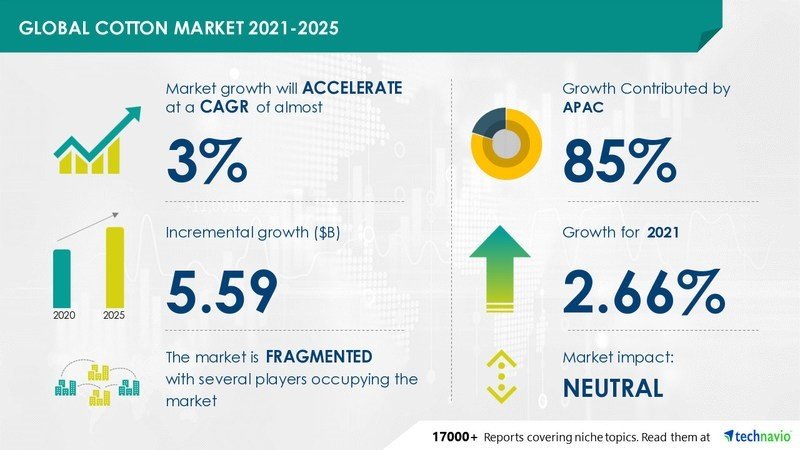 cotton-market-to-grow-by-5-59-b-by-2025