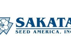 sakata-seed-america-acquires-of-danziger-blocky-pepper