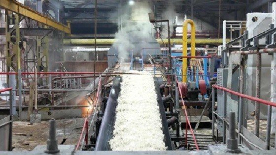 indias-sugar-production-projected-to-hit-310-lmt